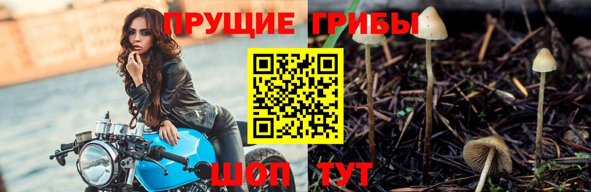 Галлюциногенные грибы ЛСД Дмитров